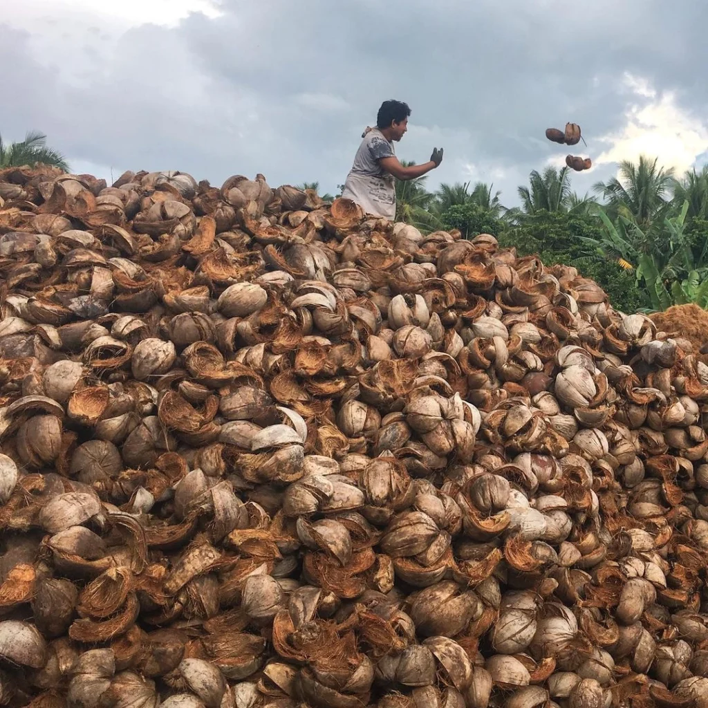 cycle de vie charbon actif végétal