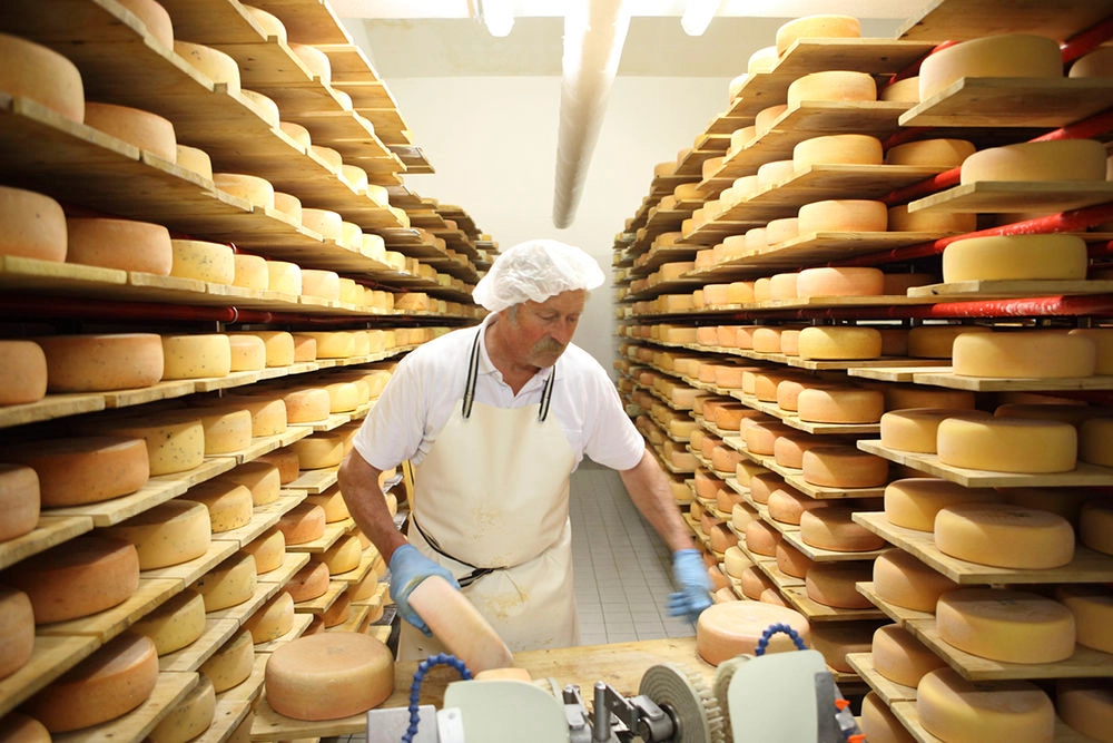 fromagerie allemagne