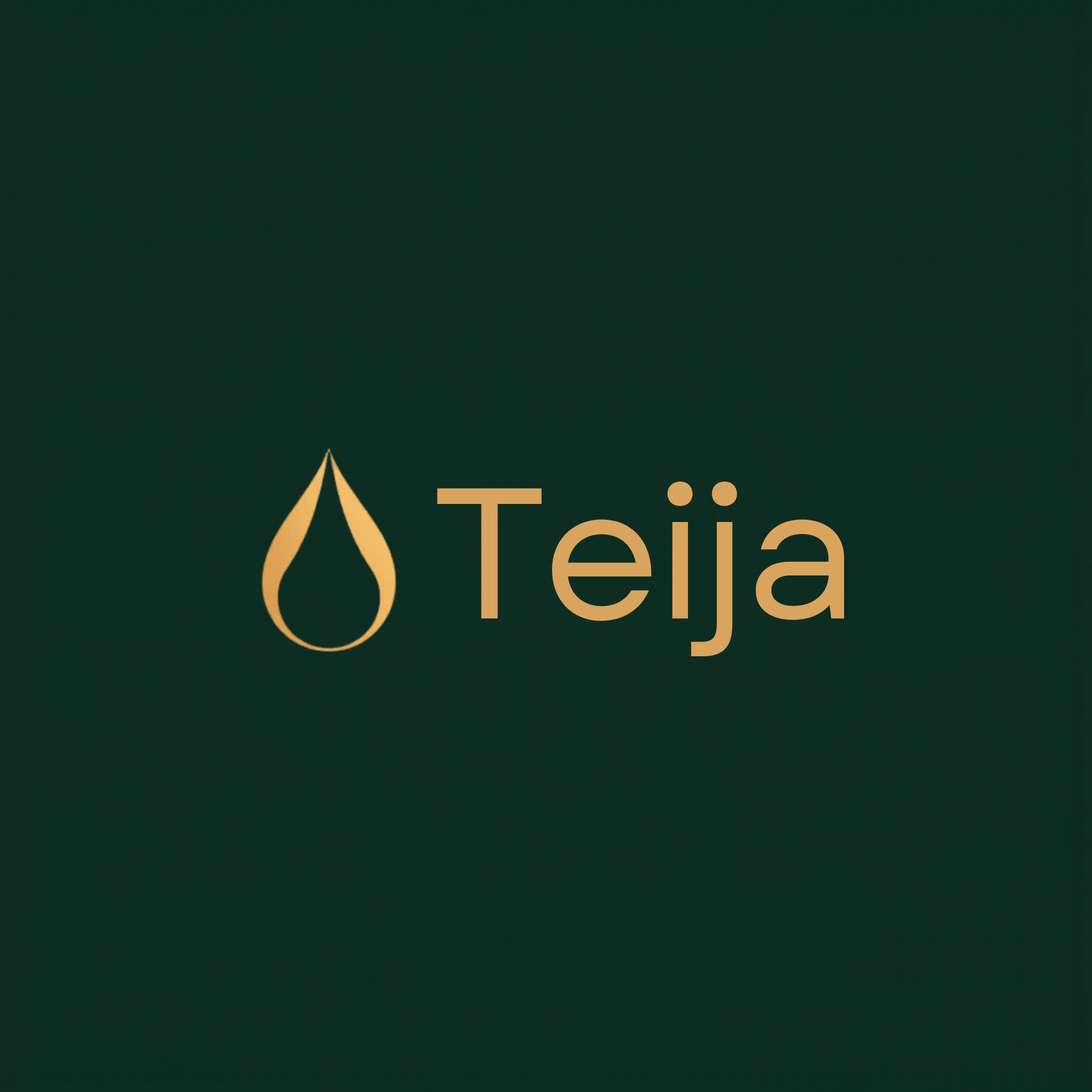 Teija logo sombre